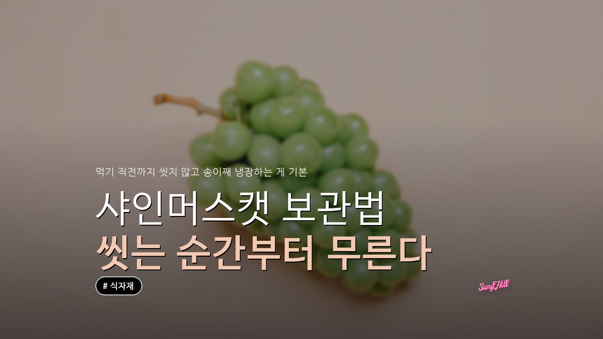 샤인머스캣 보관법, 씻어 넣은 송이가 먼저 무른다