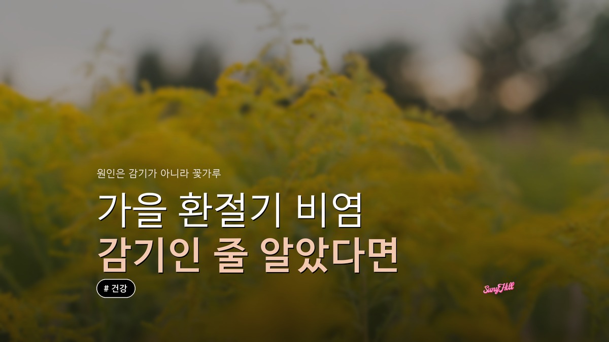 가을 환절기 비염, 코감기와 헷갈리면 관리 시기를 놓친다