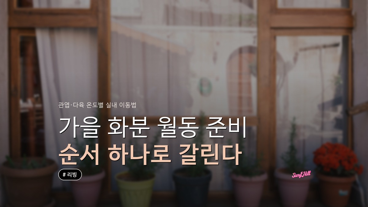 가을 화분 월동 준비, 들이는 시점부터 순서가 다르다
