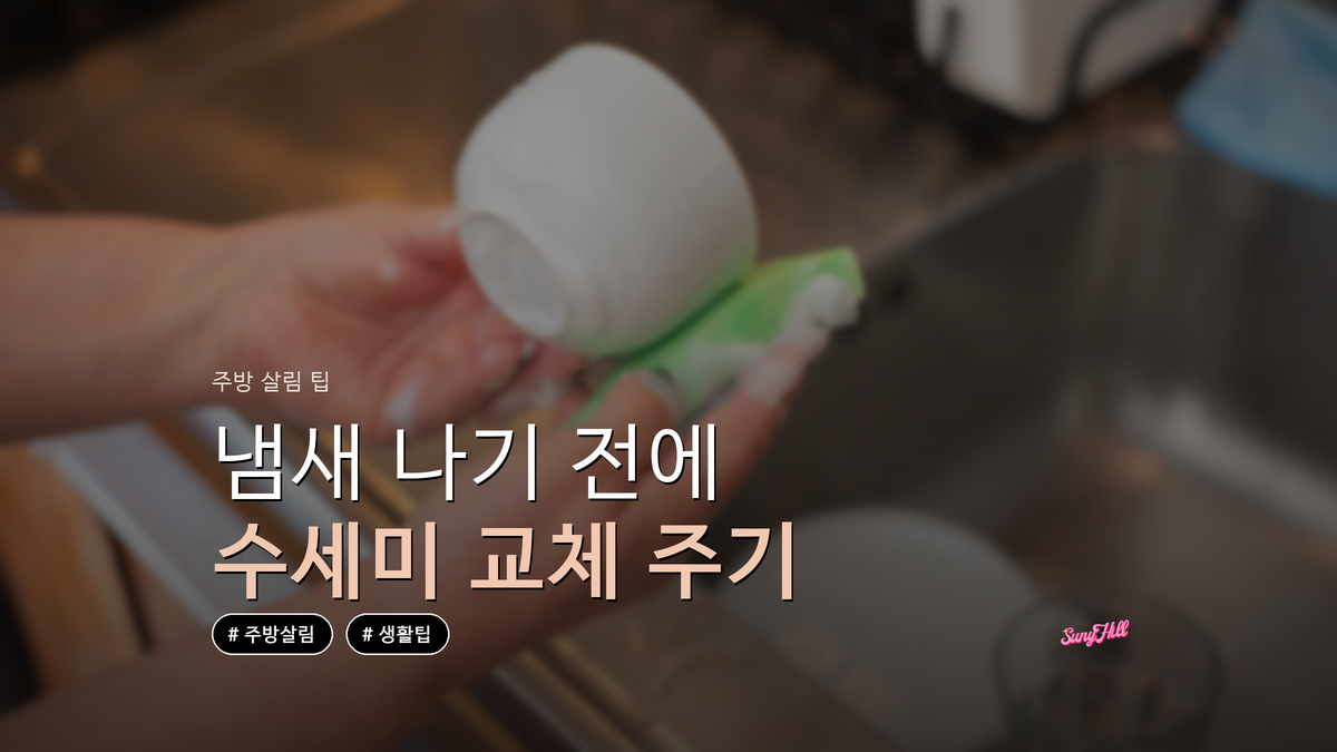 주방 수세미 교체 주기, 냄새 나기 전 바꿔야 하는 이유