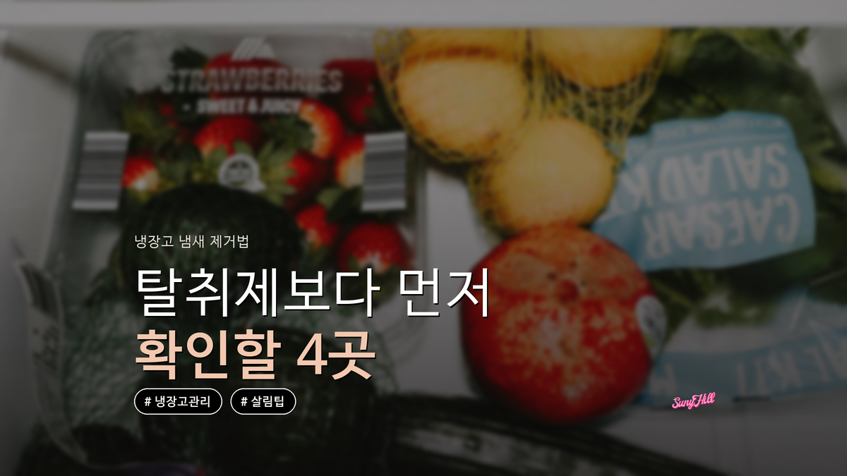냉장고 냄새 제거, 탈취제보다 먼저 확인할 4곳