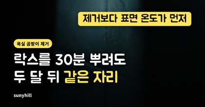 욕실 곰팡이 제거, 락스를 30분 뿌려도 두 달 뒤 같은 자리에 핀다